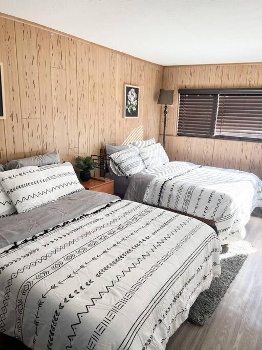 二十九棕榈村Joshua Tree National Park - Cozy Palms Getaway公寓 外观 照片